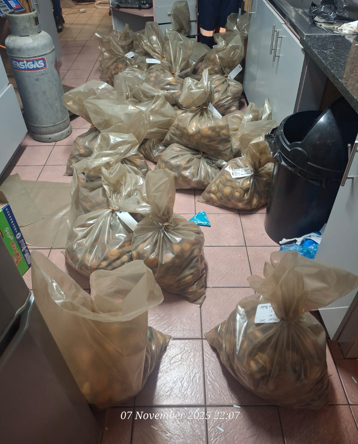 Abalone worth over R3-million confiscated in Cape Town