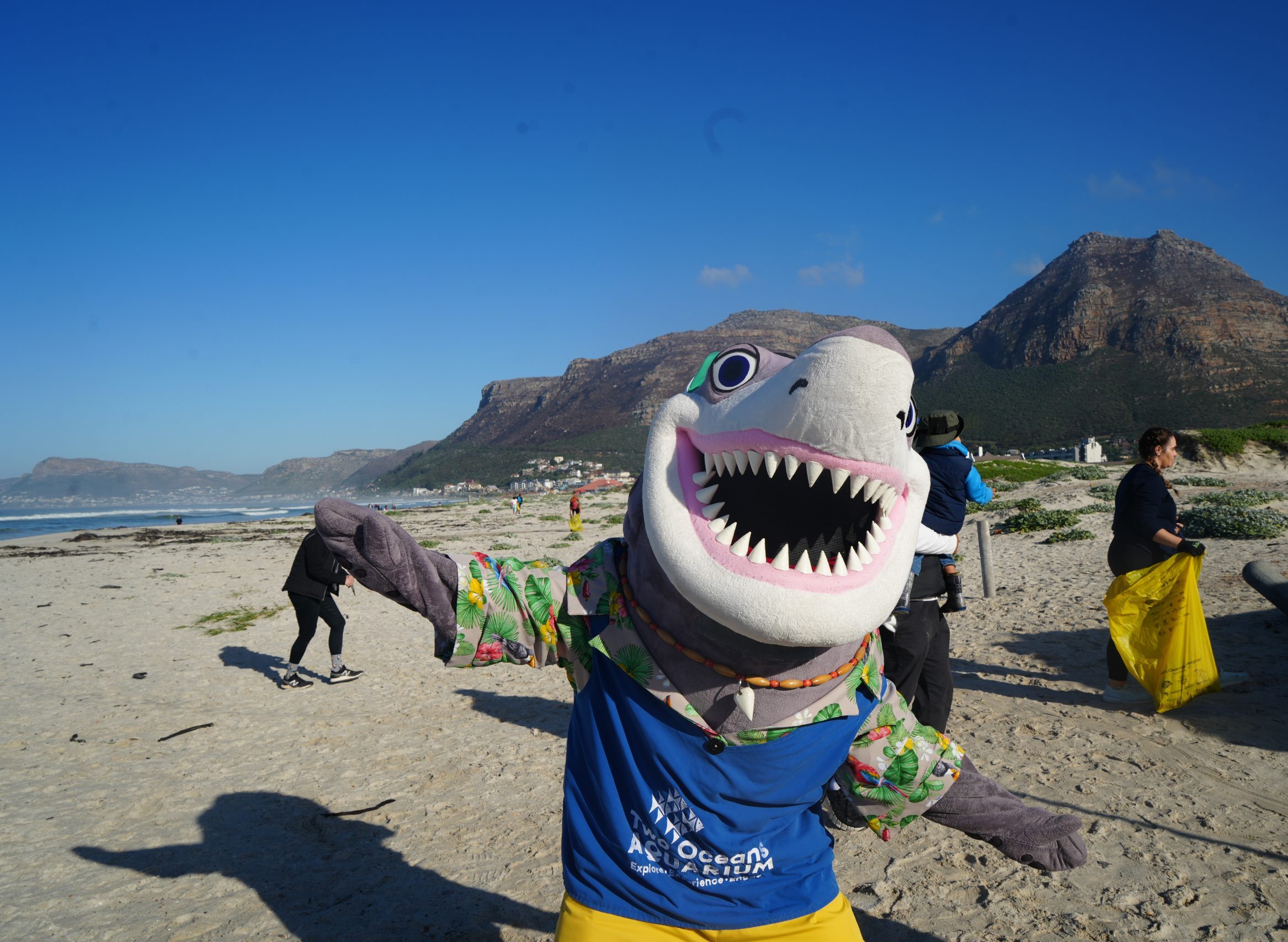 Happy 30th Birthday, Two Oceans Aquarium!