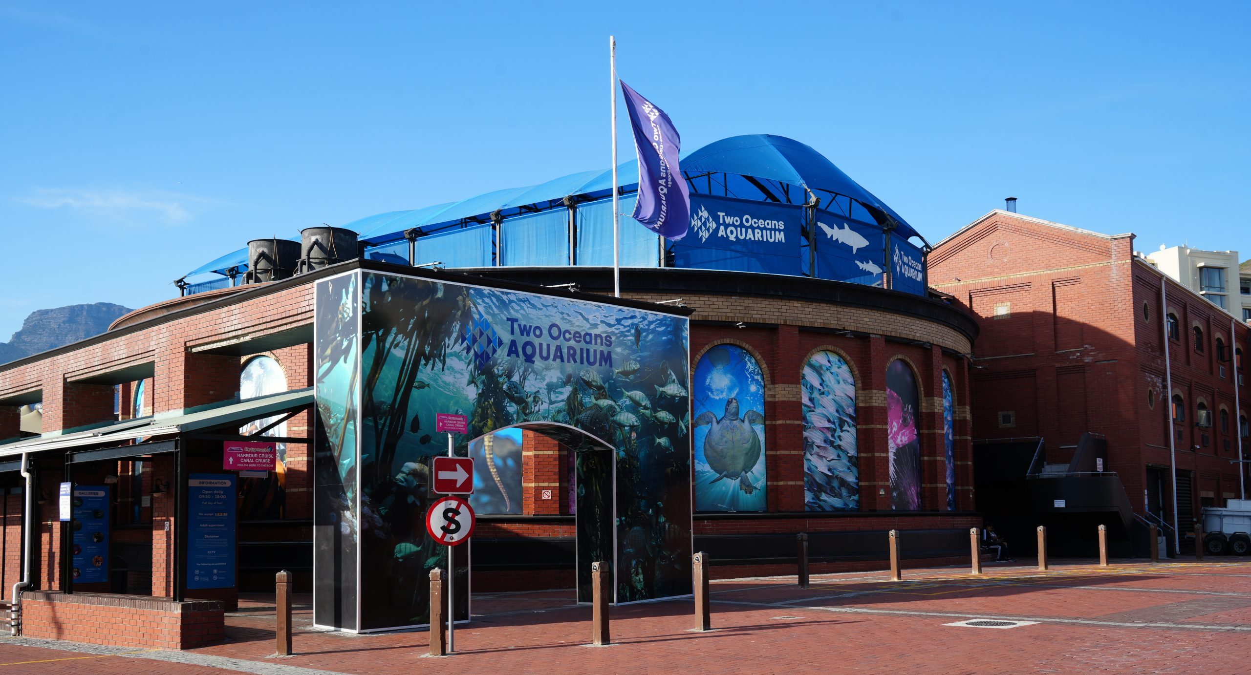 Happy 30th Birthday, Two Oceans Aquarium!