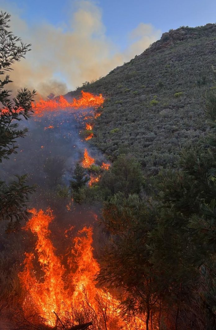 Two new fires were reported in the Cape Winelands district early this morning