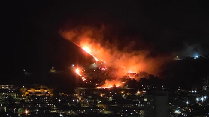 signal hill fire