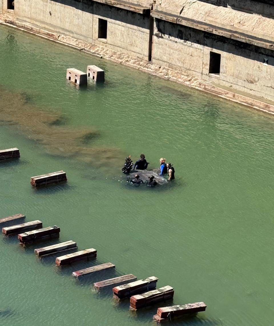 The largest and heaviest sunfish rescue in Cape Town