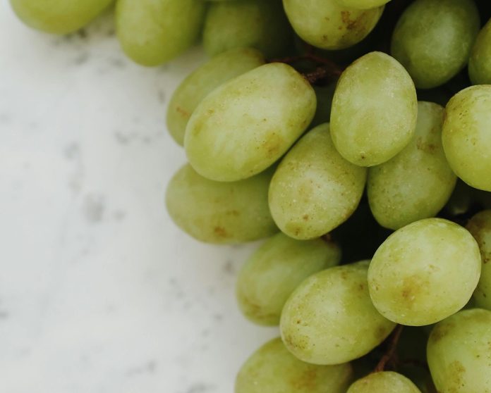 pexels-readymade-3987289 export