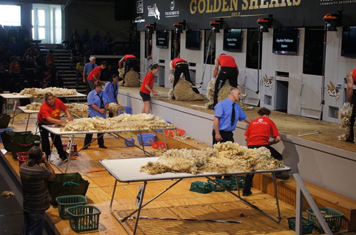 South Africa is flying the flag high on the world stage