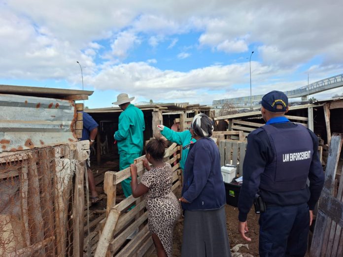 city helps with fmd vaccinations