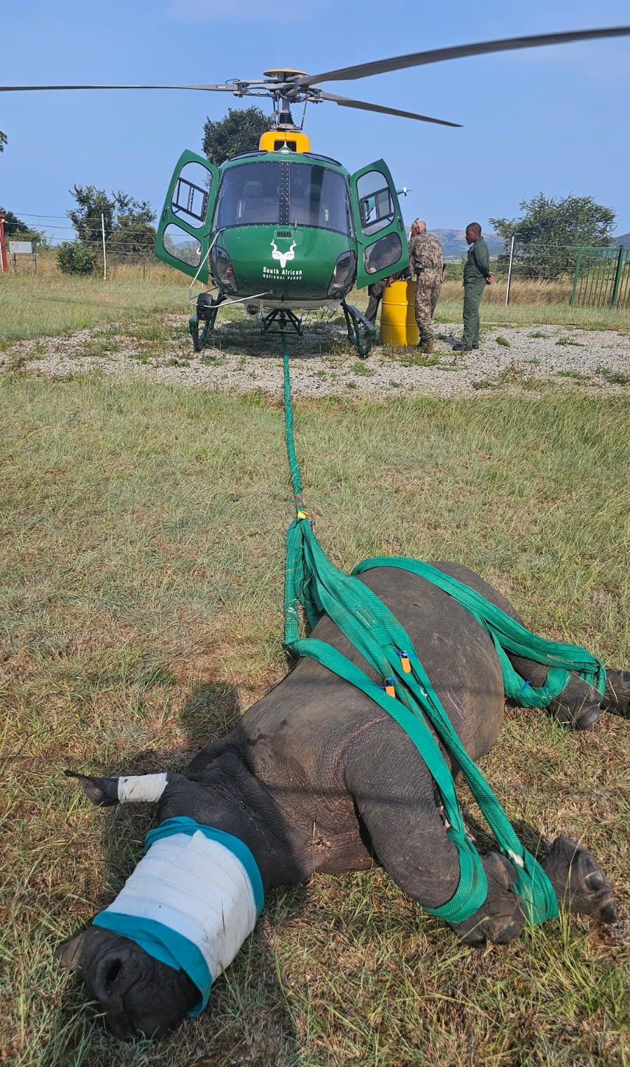 Two young rhino were rescued over the weekend in the Kruger National Park