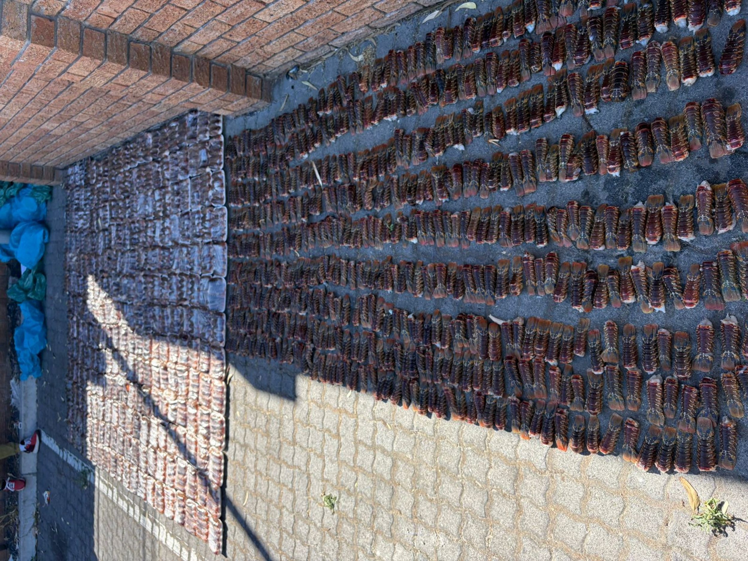 city maritime operations