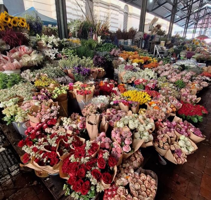 Cape Town flower sellers are up in arms