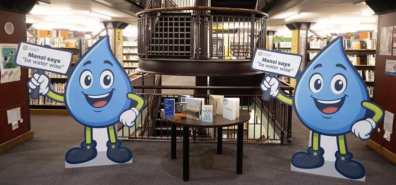 Manzi at libraries