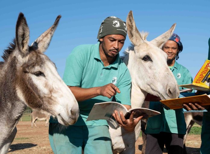 A book fair for the love of donkeys