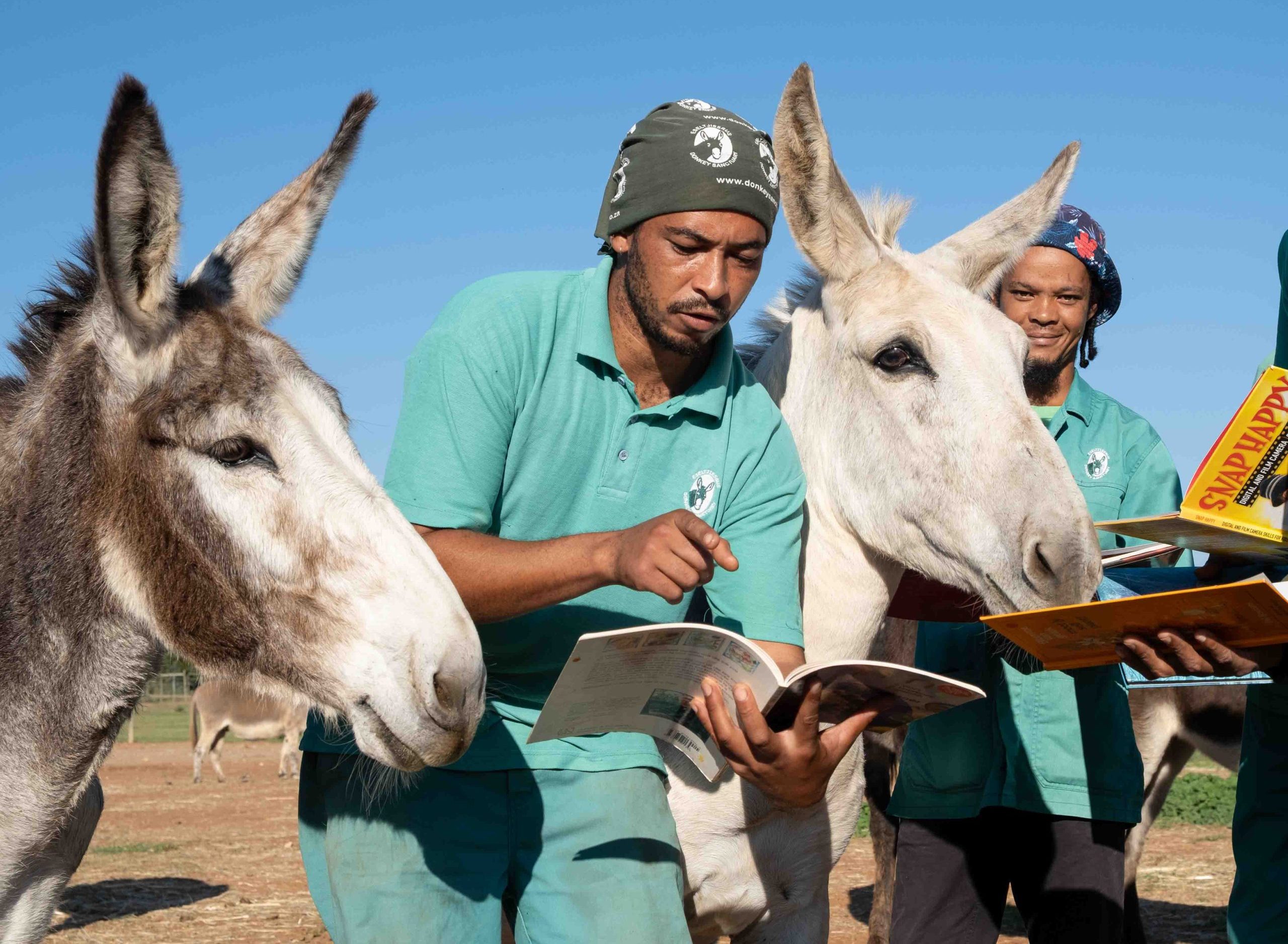 A book fair for the love of donkeys