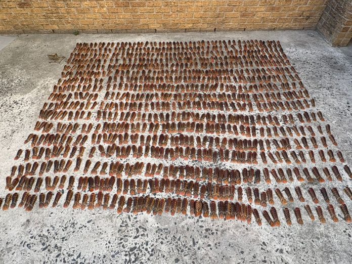 officers arrest suspects