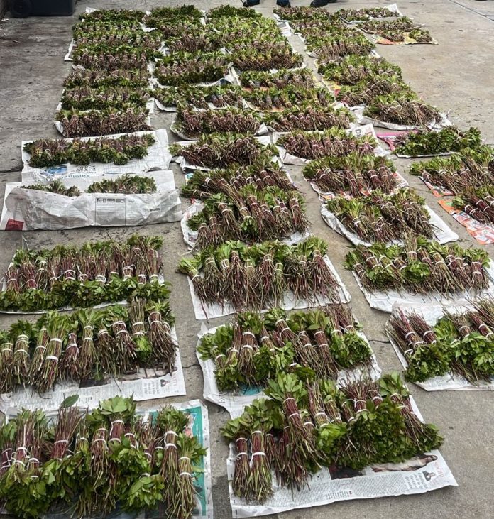 r43.000 Khat seized