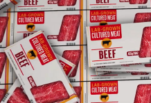 WATCH: South Africa now makes critical molecule for lab-grown meat lab grown meat