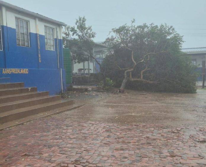 schools closed