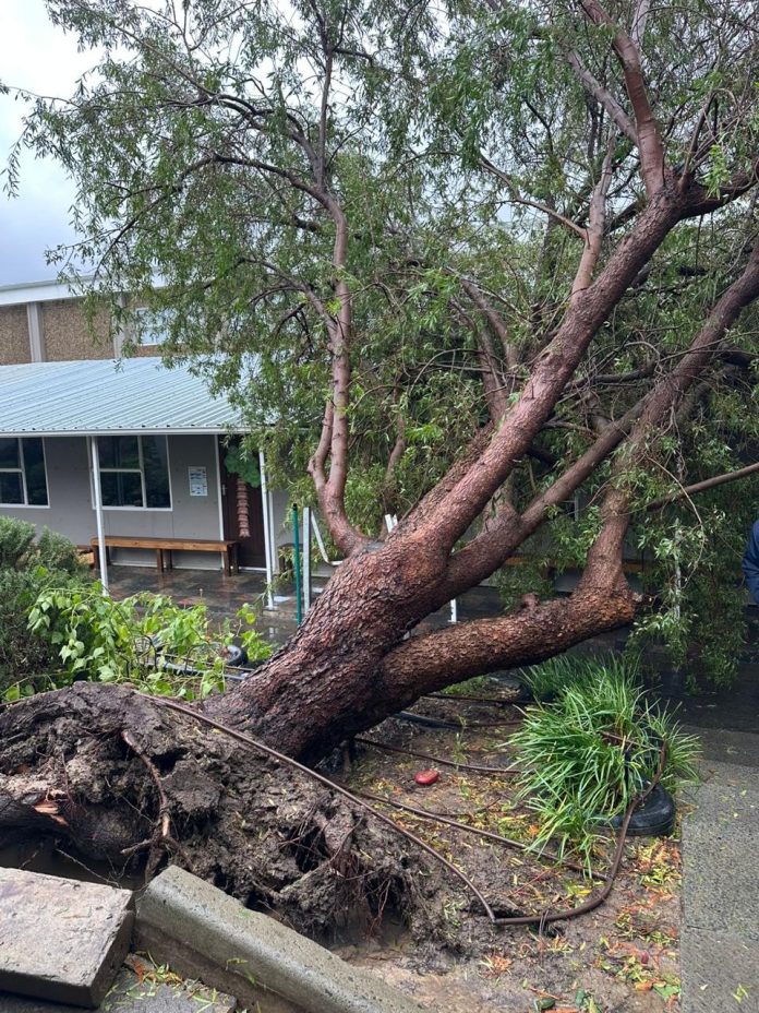 Damaged schools