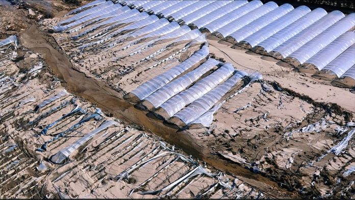 agriculture