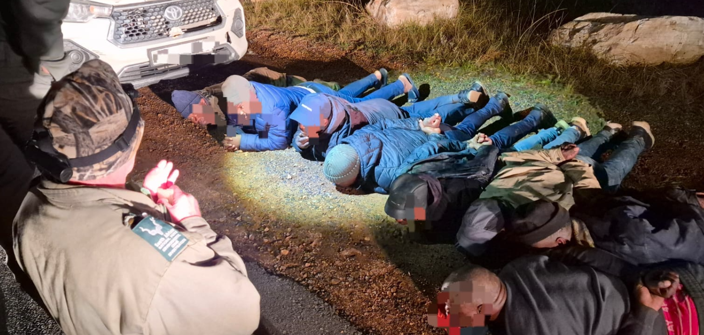 saps arrest 12 suspects