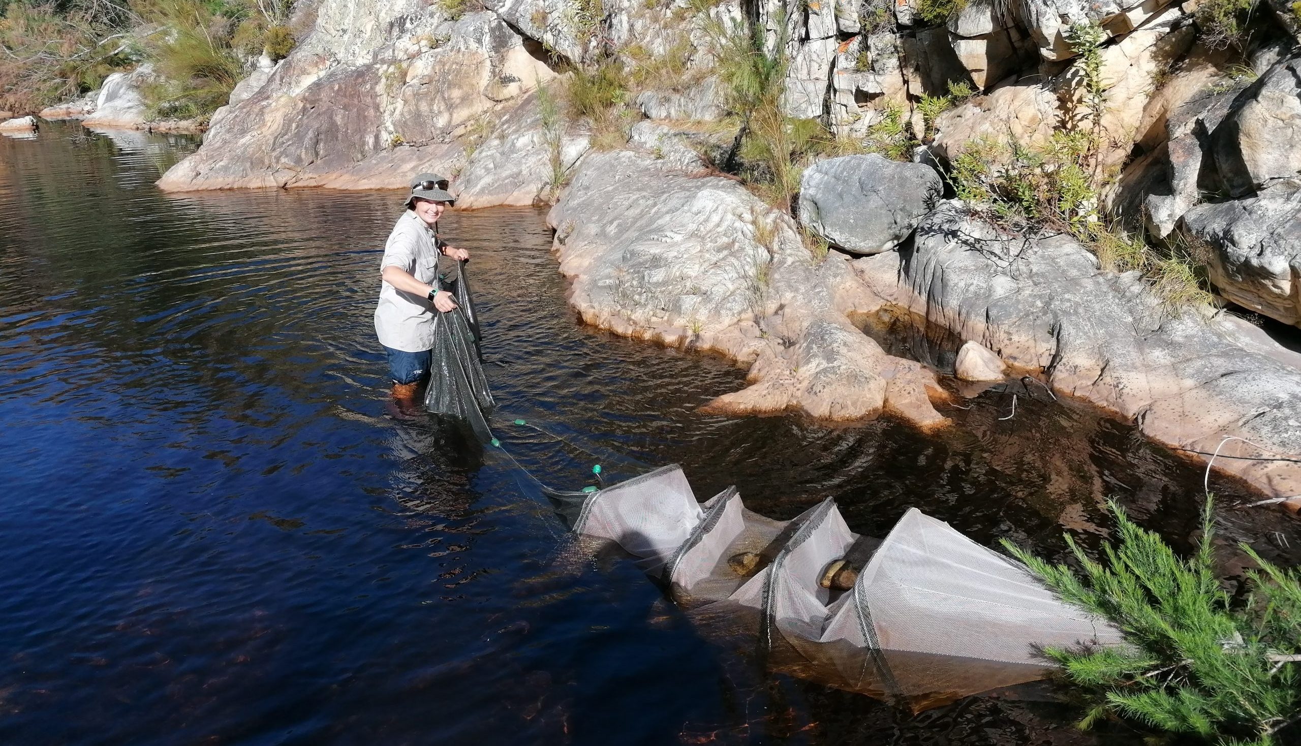 Newly discovered species named after South African ecologist