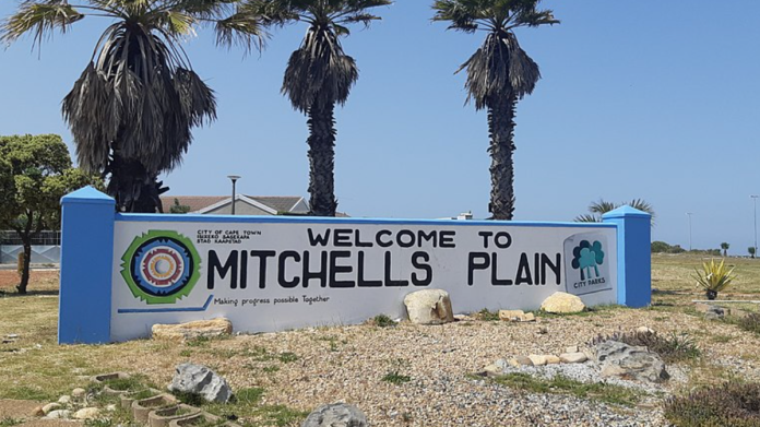 aws - cat killer - mitchells plain