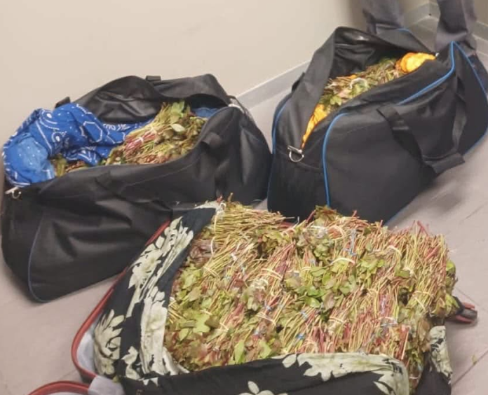 khat seized at airport