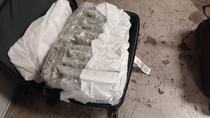 HI Drugs seized at OR Tambo