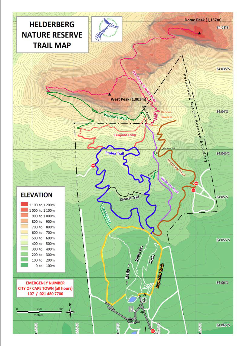 hikers - Helderberg Nature Reserve