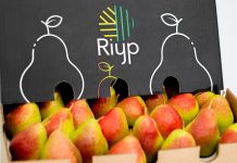 Future 50: Riyp