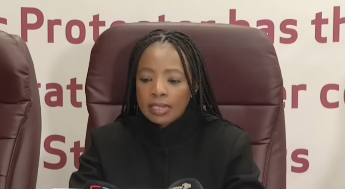 public protector