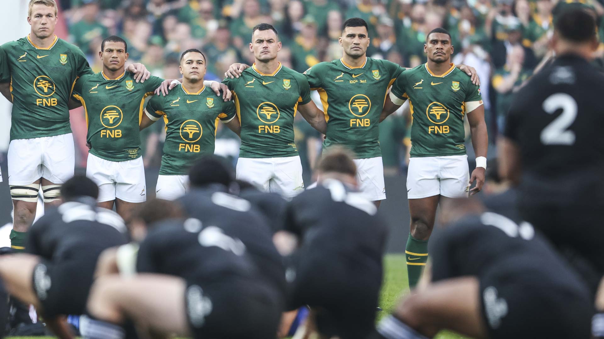 springboks