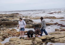 Applications open for Grade 10 to 12 Marine Sciences subject marine