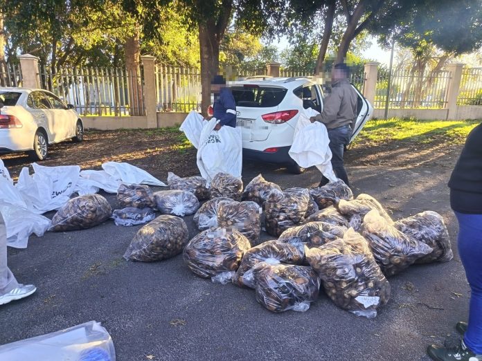 drugs 4 foreign nationals arrested