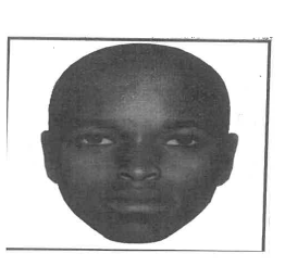 Police release sketches, need help