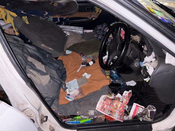 SEE: dogs rescued from car in City CBD