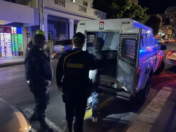 SEE: dogs rescued from car in City CBD