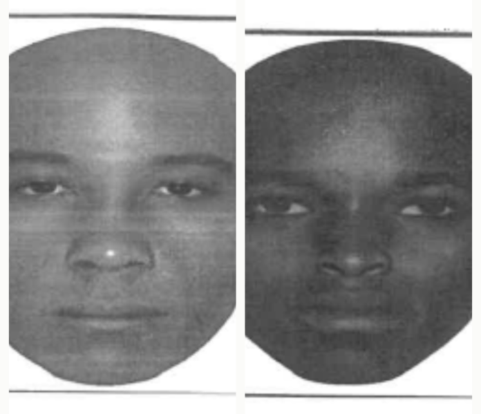 collage-maker Police release sketches, need help