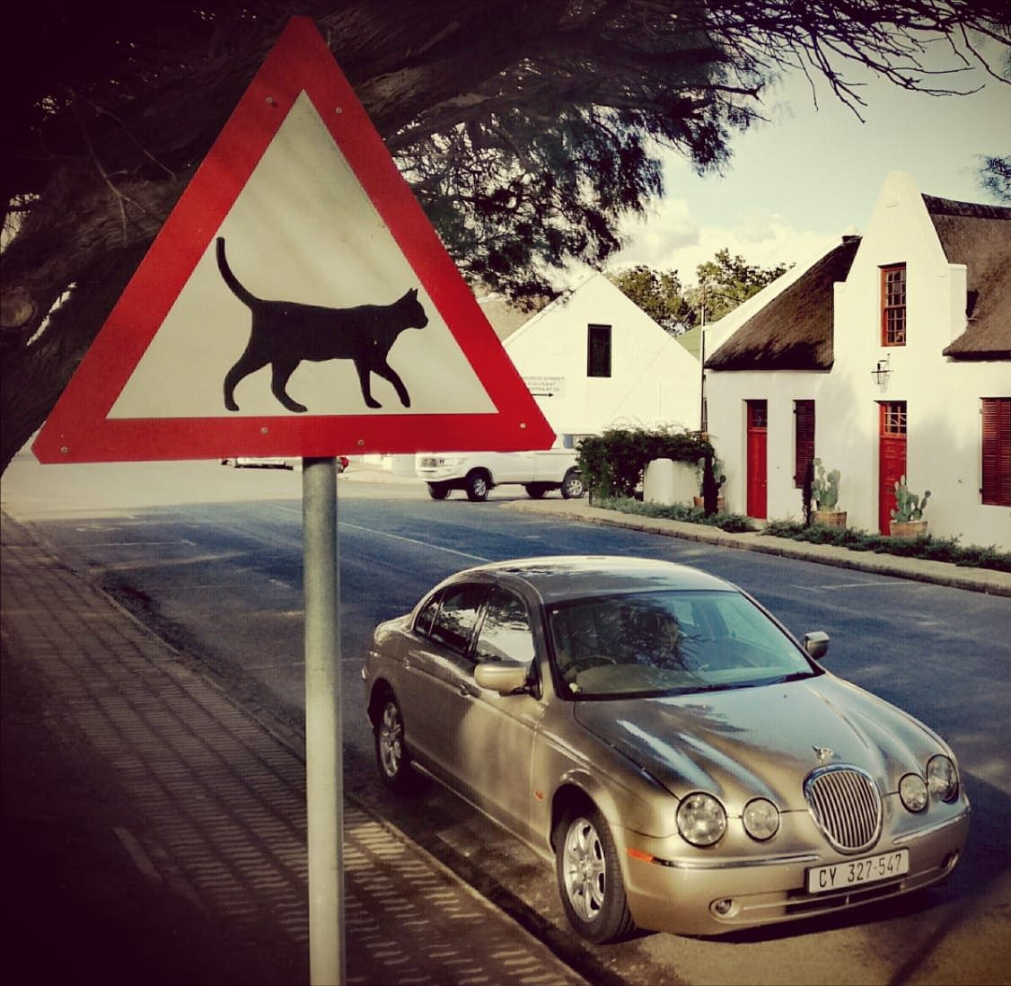 A free, self-guided art route in Montagu next month