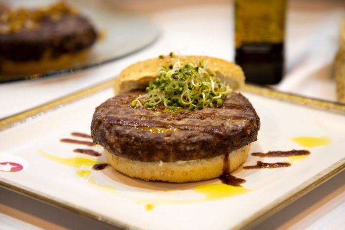 pexels-maria-fernanda-perez-1038050-2128536 hamburger