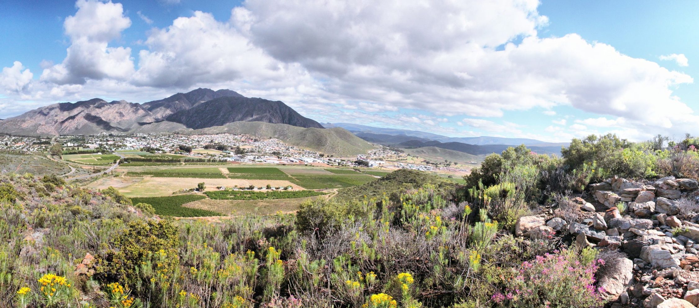 A free, self-guided art route in Montagu next month